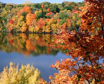 fall photo in mercer wi