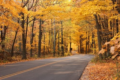 Photo of fall colors fall colors