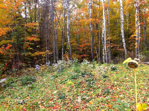 RentWisCabins-BayfieldCabin11