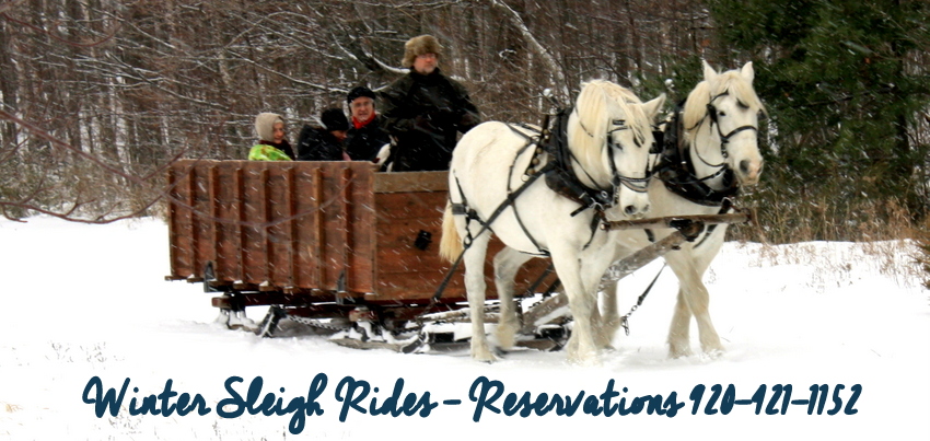 sleigh-rides