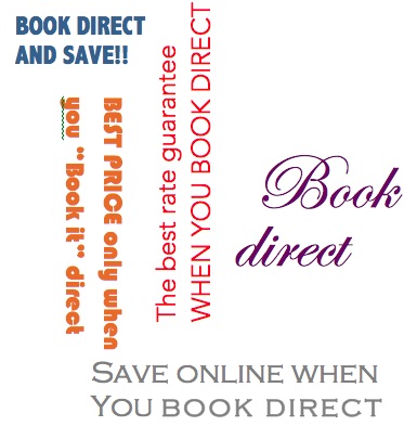 Does relying exclusively on platforms like VRBO and Airbnb for advertising your vacation rental business can have&nbsp;consequences?