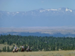Pet Friendly Montana Ranch
