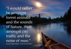 Lake Desolation Vacation Rental