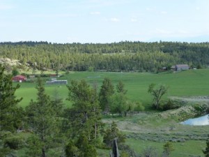 Ranch in Montana for rent