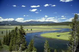 yellowstone river