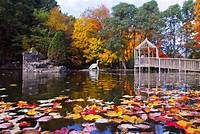 Irvine Park & Zoo-Chippewa Falls | Duck pond in the fall | Flickr
