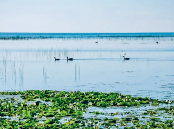 We’re thrilled to announce that Lake Life Cabin Rentals has joined the It’s Cabin Time® family, listing six exceptional Lake Huron vacation homes on RentMichiganCabins.com.