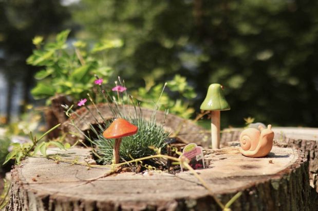 Wildflower Cabin on Wood Lake: A Grantsburg Stay for Cabintimers. A Book Direct Listing Partner on RentWisconsinCabins.com.