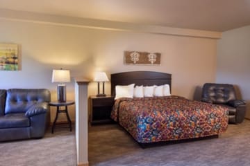 Spring Brook Resort — Cedar Stone King Hotel Rooms
