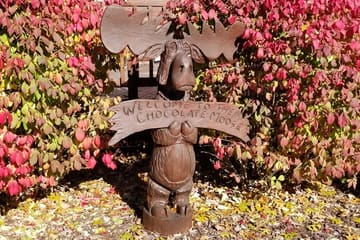 Spring Brook Resort — Chocolate Moose Lodge